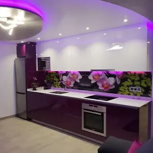 Dary Rent Orquidea España